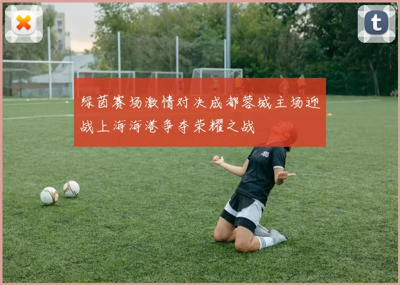 绿茵赛场激情对决成都蓉城主场迎战上海海港争夺荣耀之战
