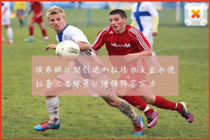 埃弗顿计划引进加拉格尔麦金和德拉普三名球员以增强阵容实力