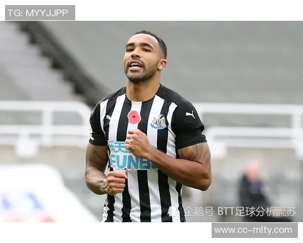 英超11月最佳球员候选名单揭晓多库B费里斯詹姆斯赖斯争夺荣誉